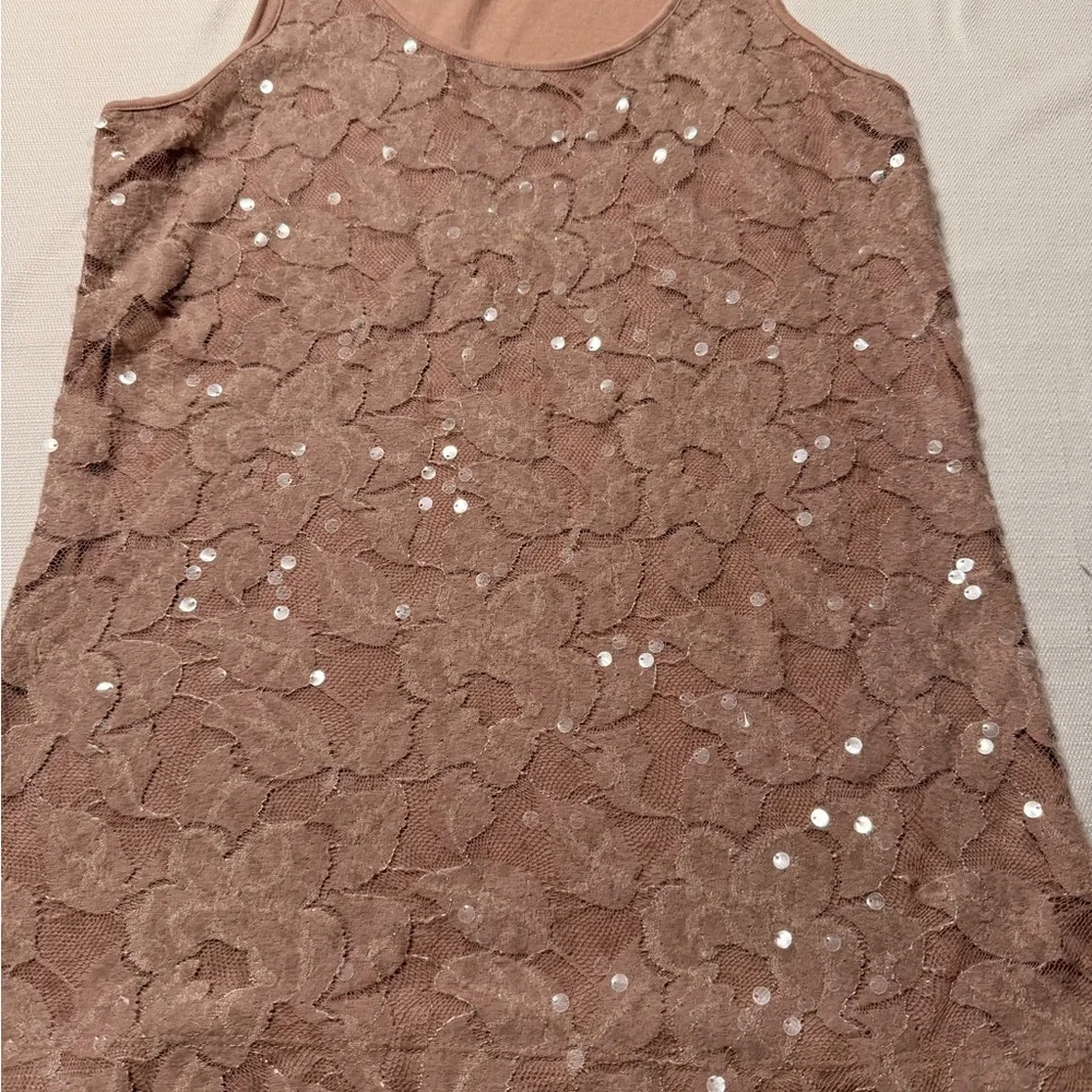 Sequin Lace Scoop Neck Chemise - Dusty Rose